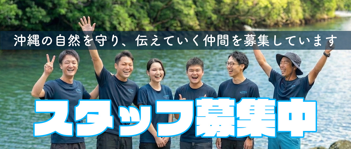スタッフ募集中