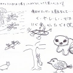 マングローブカヤックのご感想