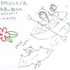 マングローブカヤックのご感想