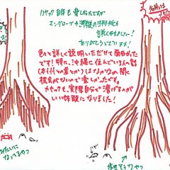 マングローブカヤックのご感想