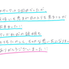 サンセットカヤックのご感想