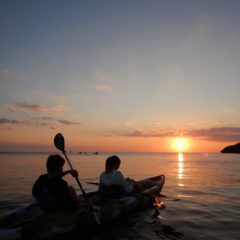 夕日に向かって