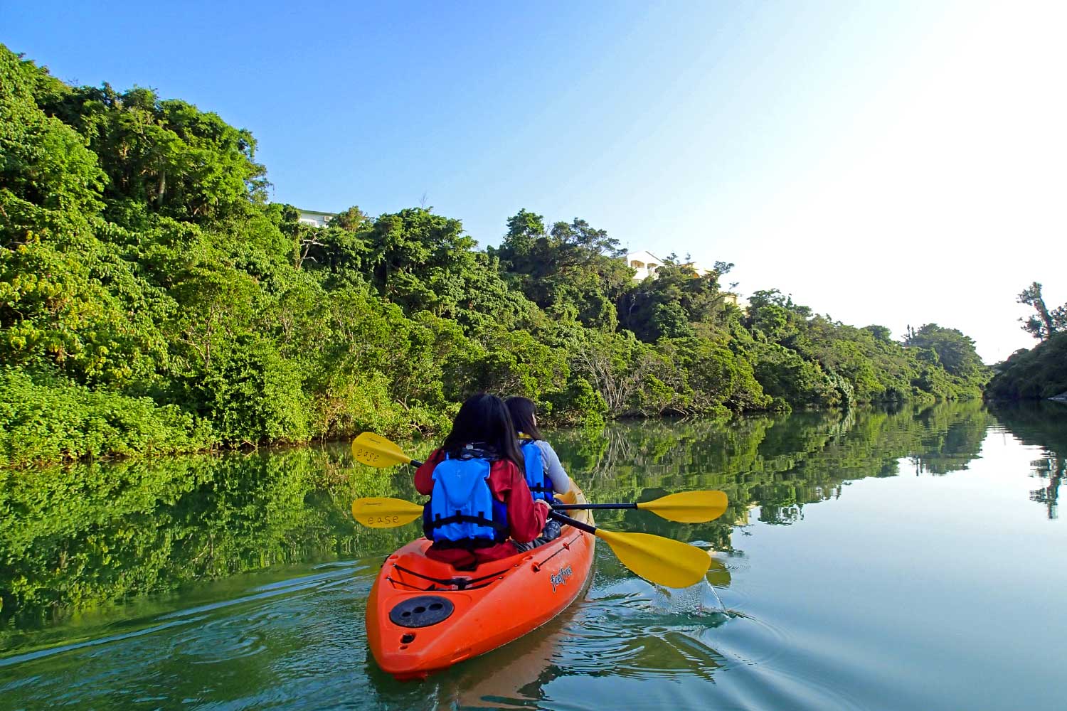 マングローブ10〜12本 マングローブカヤックツアー | 沖縄カヤックイーズ沖縄でマングローブ