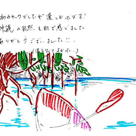 マングローブカヤックのご感想