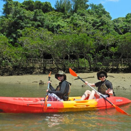 マングローブカヤック
