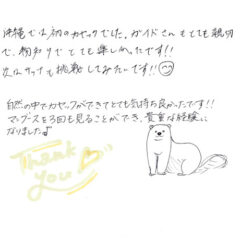 マングローブカヤックのご感想