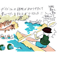 マングローブカヤックのご感想