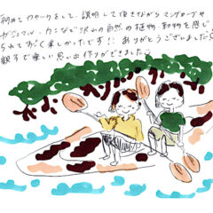 マングローブカヤックのご感想