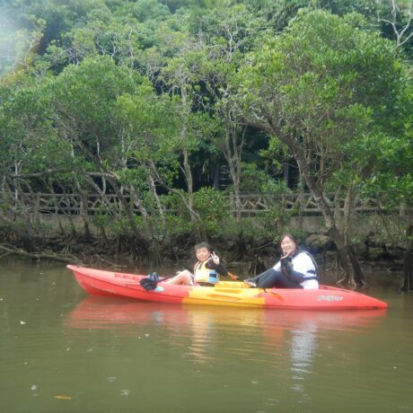 マングローブカヤック