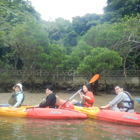 家族でマングローブ