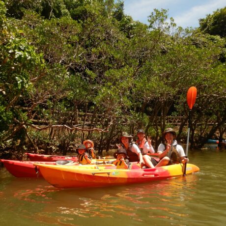 マングローブカヤック