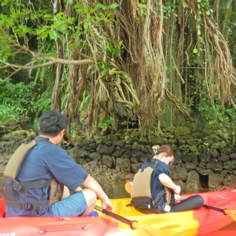 カヤックイーズ