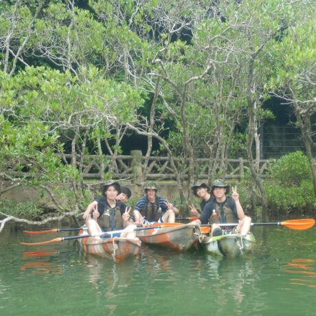 マングローブカヤック