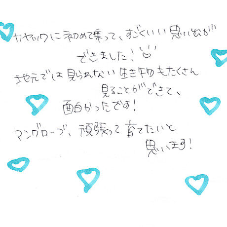 マングローブカヤックツアーのご感想