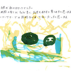 マングローブカヤックツアーのご感想