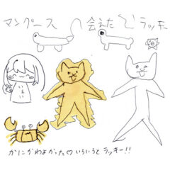 マングローブカヤックツアーのご感想