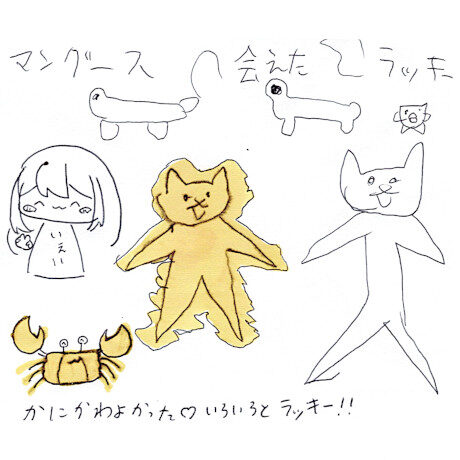 マングローブカヤックツアーのご感想