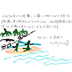 マングローブカヤックツアーのご感想