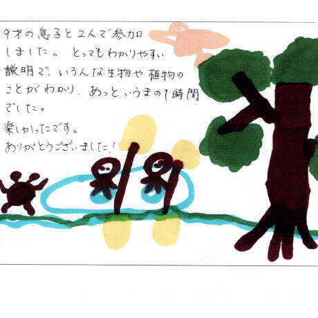 マングローブカヤックツアーのご感想