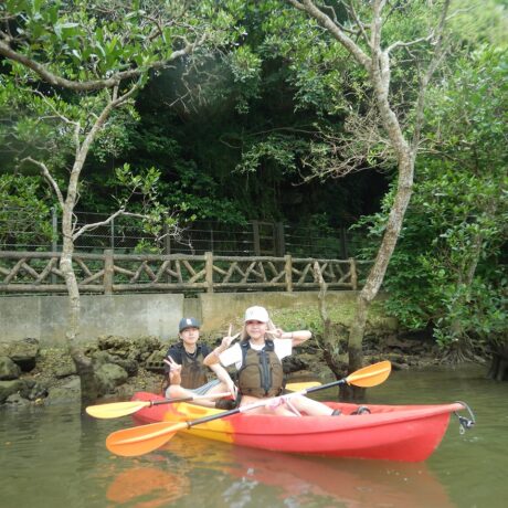 マングローブカヤック