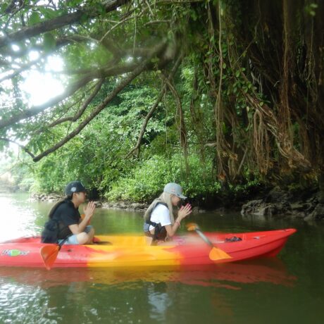 カヤックツアー