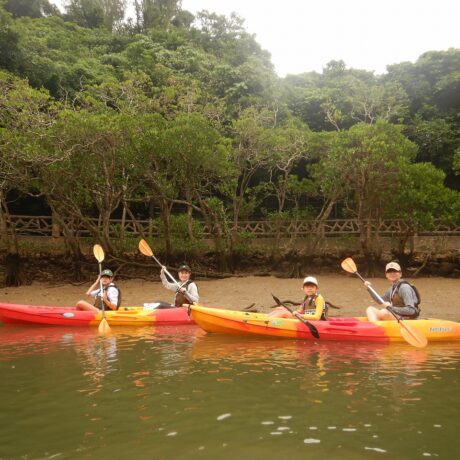 マングローブカヤック