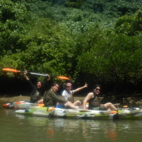 マングローブカヤック