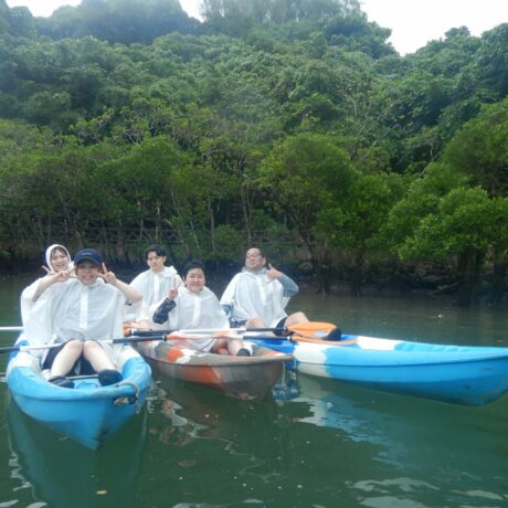 マングローブカヤック