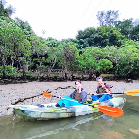 マングローブカヤック
