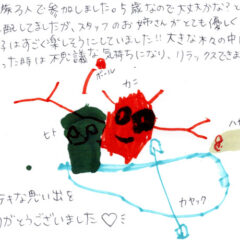 マングローブカヤックツアーのご感想