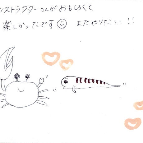 マングローブカヤックツアーのご感想