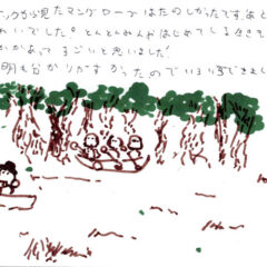 マングローブカヤックツアーのご感想