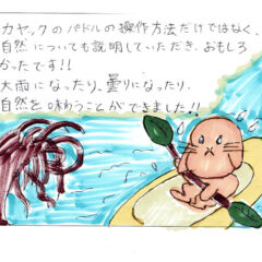 マングローブカヤックツアーのご感想