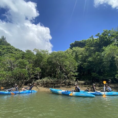 マングローブカヤック