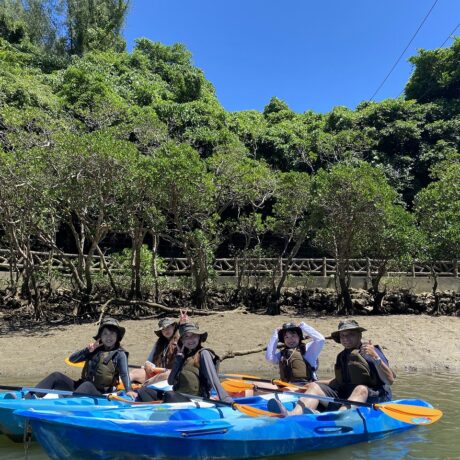 マングローブカヤック