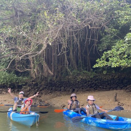 マングローブカヤック