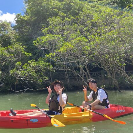 マングローブカヤックツアー