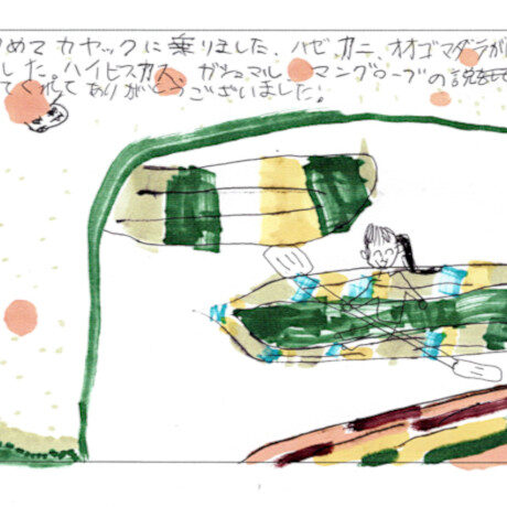 マングローブカヤックツアーのご感想