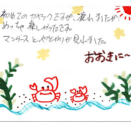 マングローブカヤックツアーのご感想