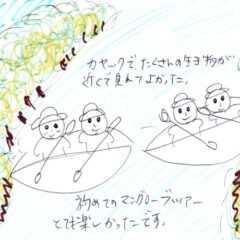 マングローブカヤックツアーのご感想