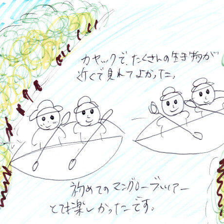 マングローブカヤックツアーのご感想