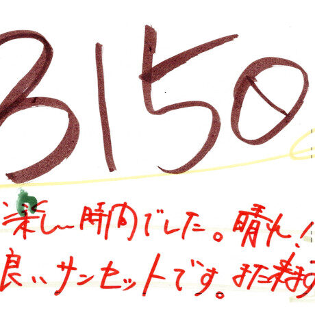 サンセットカヤックツアーのご感想