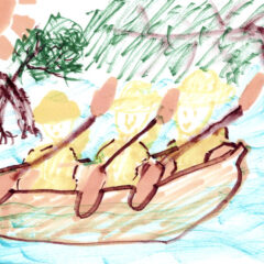 マングローブカヤックツアーのご感想