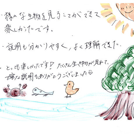 マングローブカヤックツアーのご感想