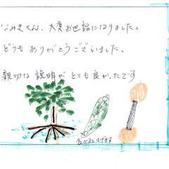 サンセットカヤックツアーのご感想