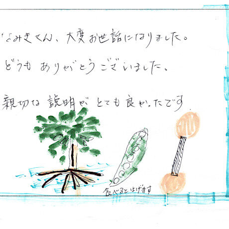 サンセットカヤックツアーのご感想