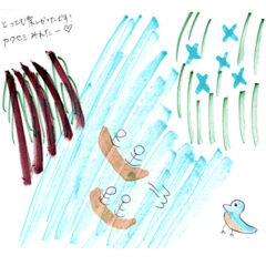 マングローブカヤックツアーのご感想