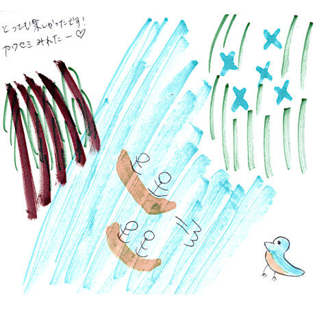 マングローブカヤックツアーのご感想