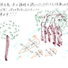 マングローブカヤックツアーのご感想