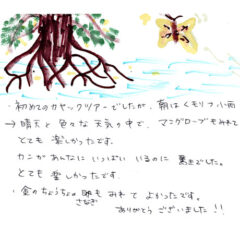 マングローブカヤックツアーのご感想